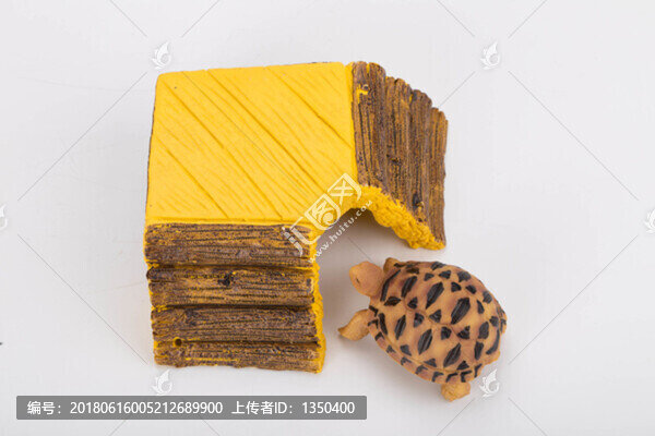 寵物烏龜模型