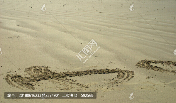 北海,沙灘