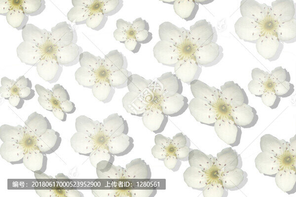 白花背景