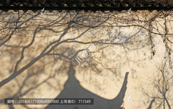 蘇州園林印象,院墻上的影子