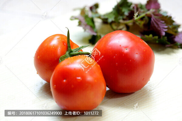 西紅柿