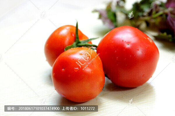 西紅柿