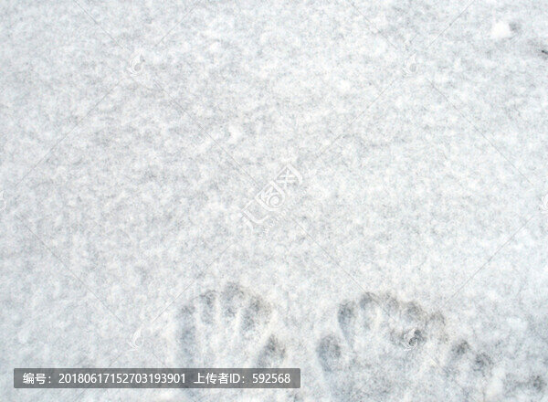 雪地,手印