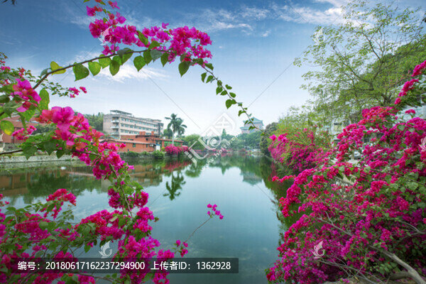 滿(mǎn)園春色