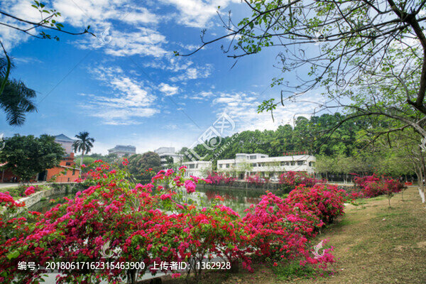 滿園春色