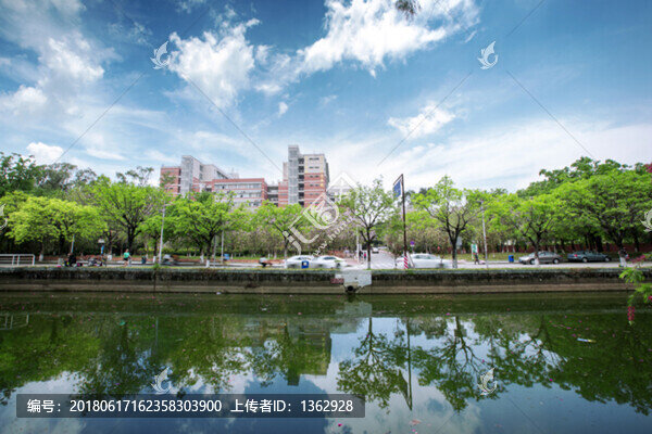 滿園春色