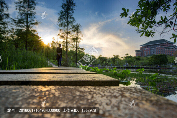 立夏