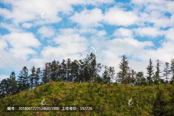 藍天白云高山樹林
