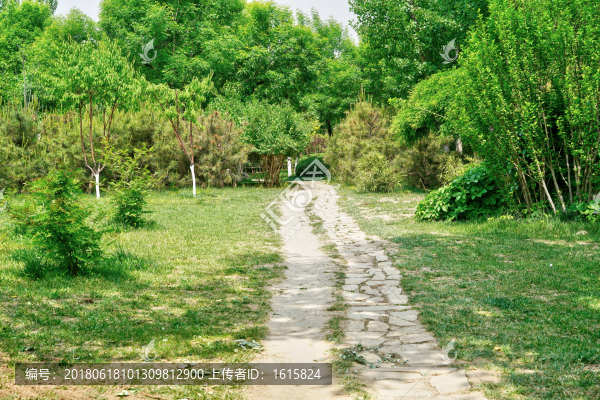 4000萬(wàn)像素,公園小路