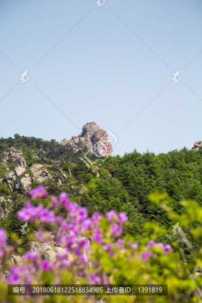 山東,青島,春天的嶗山風光
