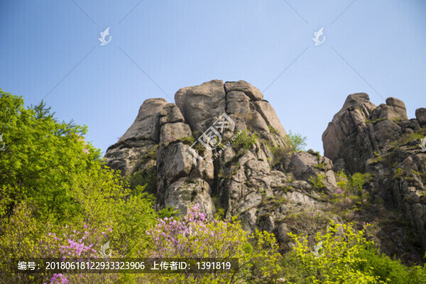 山東,青島,春天的嶗山風光
