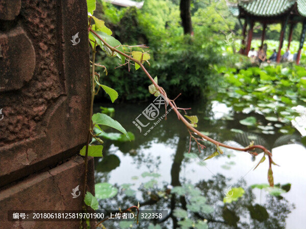 蘇州園林景觀