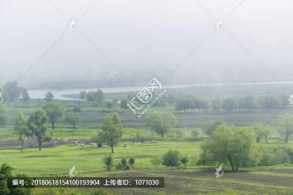 夏日晨霧