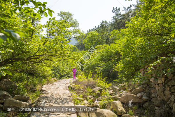 山東,青島,春季山村風(fēng)光