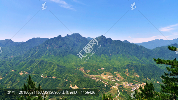 大山風(fēng)景,森林植被