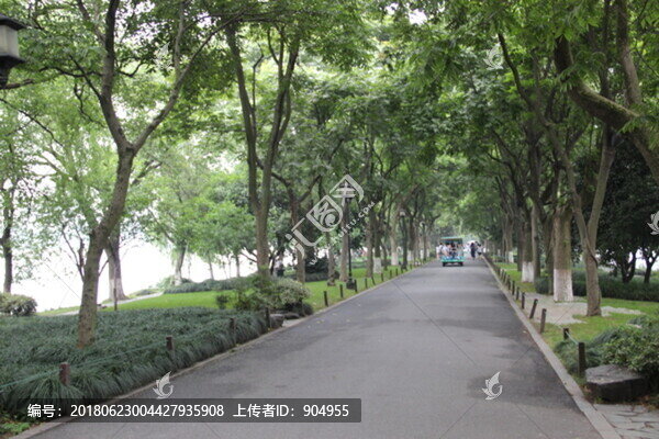 杭州西湖林蔭大道