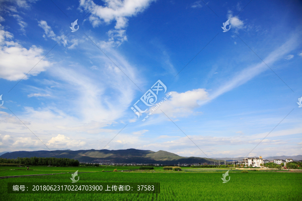 美麗鄉(xiāng)村