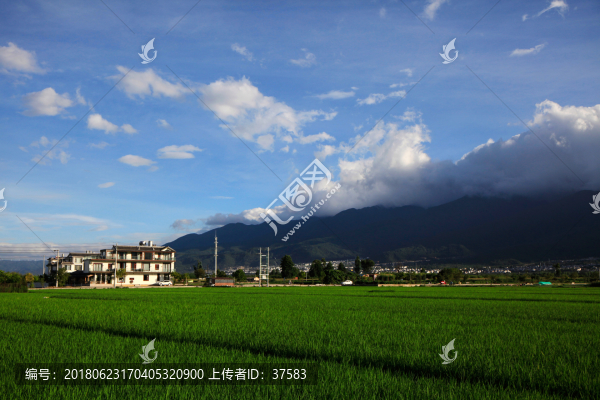 大理鄉(xiāng)村風(fēng)光