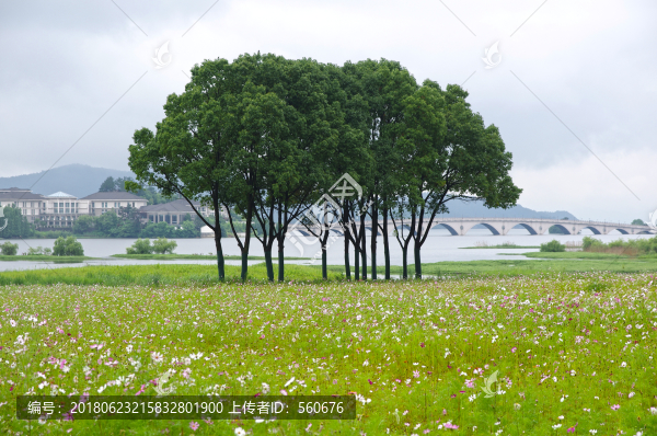 余姚旅游