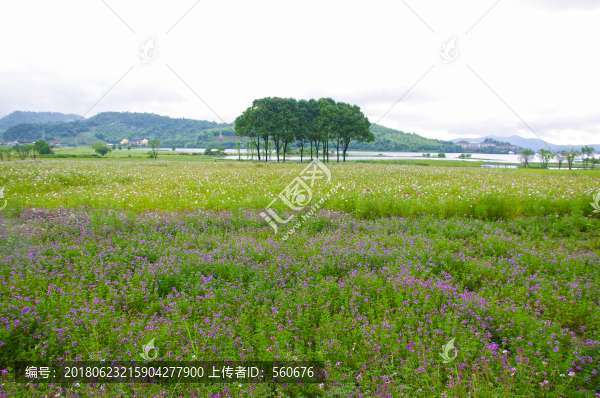 余姚旅游