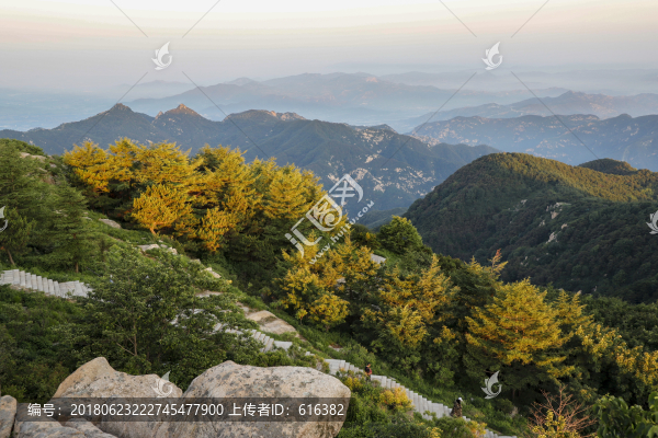 泰山風(fēng)光