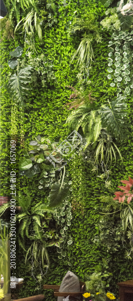 綠植墻