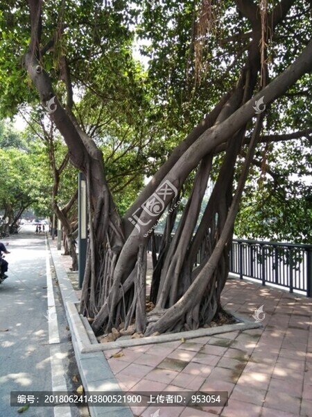 店面設(shè)計,裝修,外觀設(shè)計,建筑