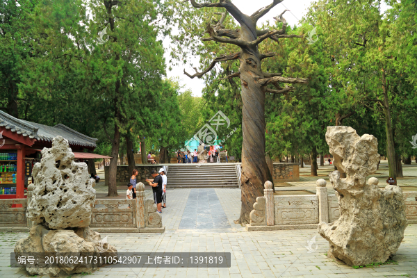 山東,泰安,岱廟