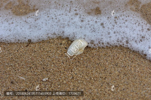 沙灘沙子貝殼浪花
