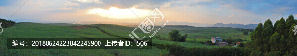 甘蔗基地