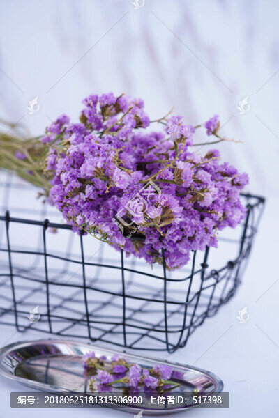 薰衣草干花