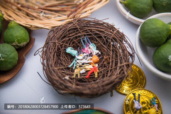 鳥巢中的人類