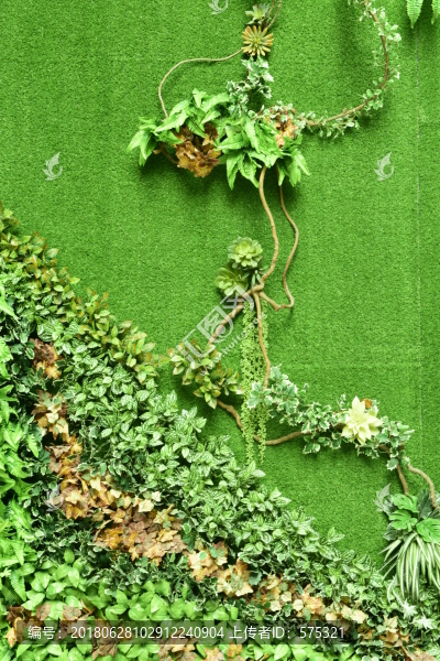 綠色植物墻