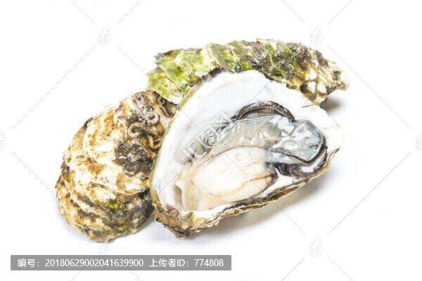生蠔