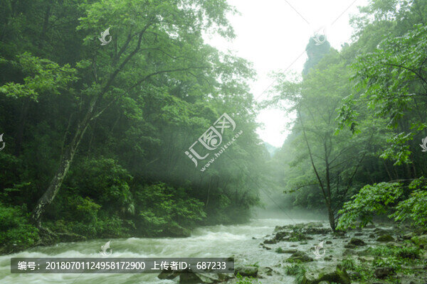 張家界山水風景樹林森林