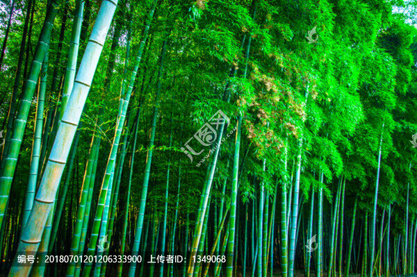 杭州植物園