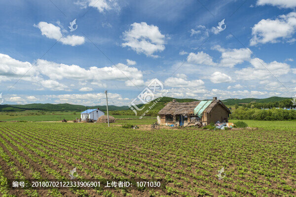 農(nóng)村新舊房對比