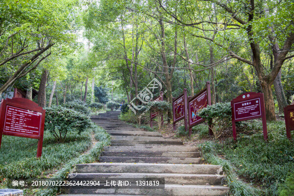 浙江寧波奉化溪口蔣母墓墓道