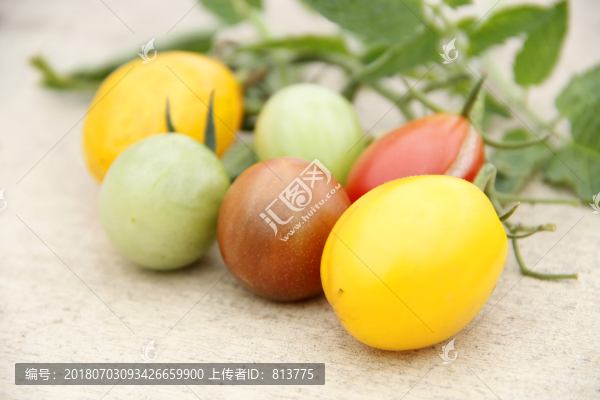 小西紅柿