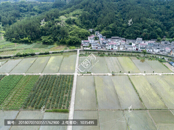 田園風光