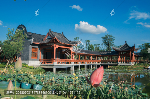 荷花風(fēng)景畫