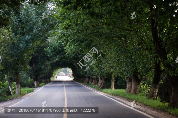 綠色隧道