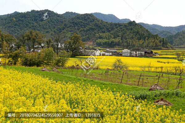 江西上饒婺源田園風(fēng)光