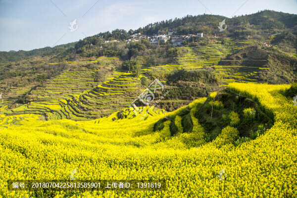 上饒婺源篁嶺景區(qū)油菜花梯田