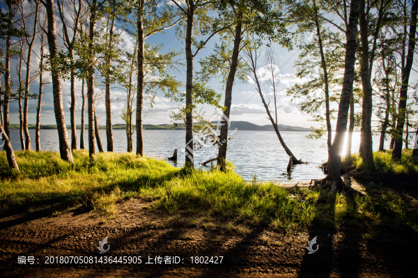 湖