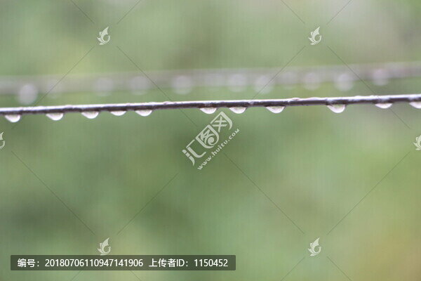 雨掛