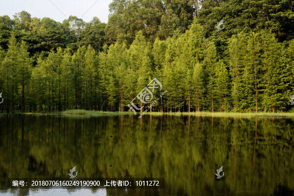 水彬