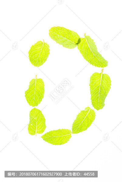 薄荷葉