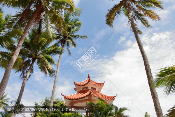 東郊椰林風(fēng)光