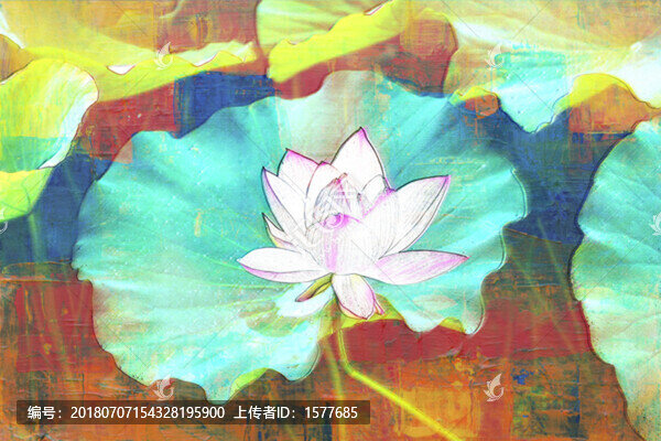 荷花